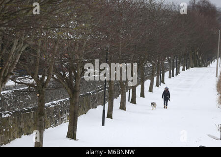 Eine Frau Mann Spaziergänge mit ihrem Hund an den Ufern des Royal Canal in Drumcondra, Dublin als extreme Wetterbedingungen fortgesetzt. Stockfoto