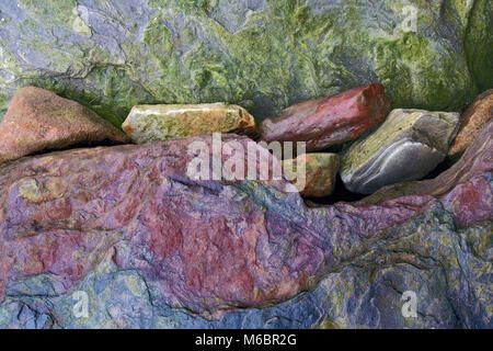 Eine Nahaufnahme von bunten Felsen auf St Aidan's Strand entlang der Küste in der Nähe von Bamburgh, Northumberland, England, Grossbritannien Stockfoto