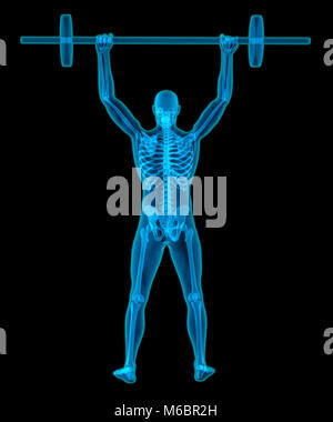 Sehr ausführliche und medizinisch genaue 3D-Illustration einer transluzenten Mann Gewichte zu heben Stockfoto