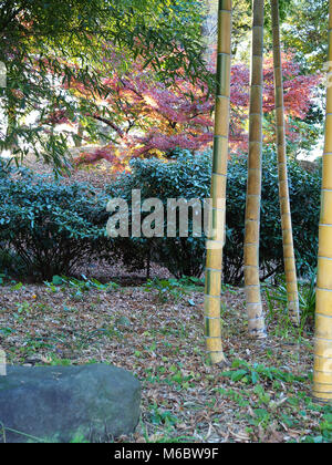 Schönen Japanischen Garten Szene in einem Tokio Park. Stockfoto