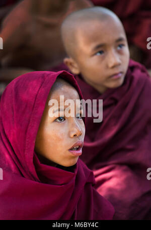 Junge buddhistische Novizen sehen sich im Februar an der Aung Myae Oo Monastic Free Education School, Sagaing, Mandalay, Myanmar (Burma), Asien beim Fernsehen an Stockfoto