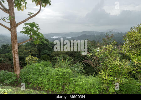 Blick über Kimbale Forest Nationalpark, Uganda, Afrika Stockfoto