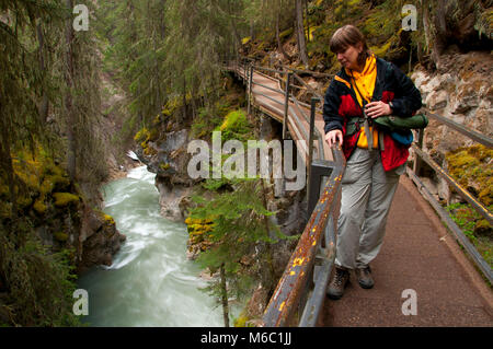 Laufsteg über Johnston Creek entlang Johnston Canyon Trail, Banff Nationalpark, Alberta, Kanada Stockfoto