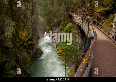 Laufsteg über Johnston Creek entlang Johnston Canyon Trail, Banff Nationalpark, Alberta, Kanada Stockfoto