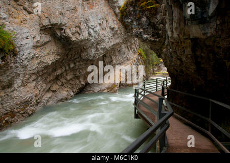 Laufsteg über Johnston Creek entlang Johnston Canyon Trail, Banff Nationalpark, Alberta, Kanada Stockfoto