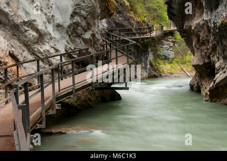 Laufsteg über Johnston Creek entlang Johnston Canyon Trail, Banff Nationalpark, Alberta, Kanada Stockfoto