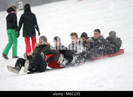 Menschen Schlitten im Schnee am Primrose Hill in London, als die schweren Wetterbedingungen andauern. Stockfoto