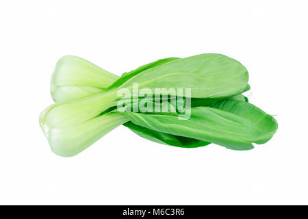 Bok Choy (Chinakohl) isoliert auf weiss Stockfoto