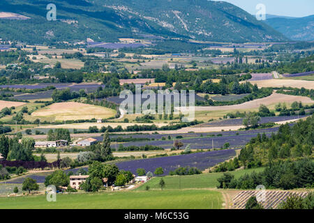 Foret de Javon Plateau Bois du defens Sault Vaucluse Provence-Alpes-Côte d'Azur Frankreich Stockfoto