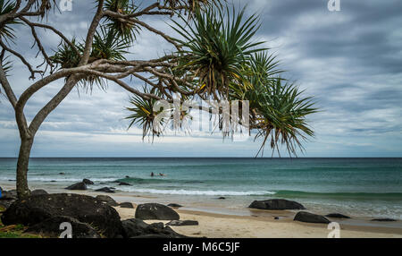 Noosa Beach-Queensland-Australien Stockfoto