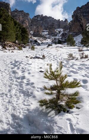 Klettern Sierra de la Sagra (2.381). Provinz Granada, Andalusien, Spanien, Europa Stockfoto