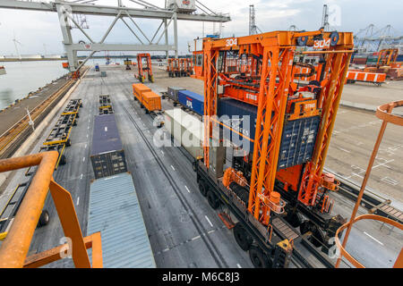 ROTTERDAM, Niederlande - Sep 8, 2013: Straddle Carrier moving Cargo Container in der ECT-versand Terminal im Hafen von Rotterdam. Stockfoto