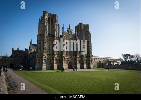 Wells Cathedral und Kathedrale Grün, Wells, Somerset, UK. Stockfoto