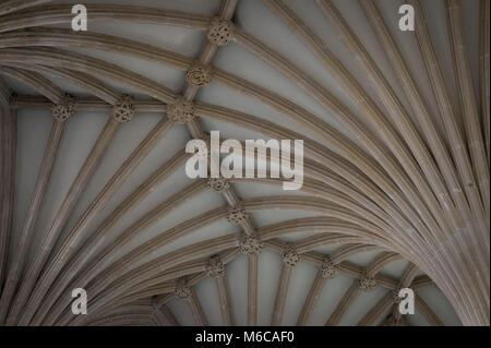 Die gewölbte Decke der Kapitelsaal in Wells Cathedral, Wells, Somerset, UK. Stockfoto