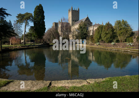 Wells Cathedral und Wells Pools im Garten des Palastes des Bischofs, Wells, Somerset, UK. Stockfoto