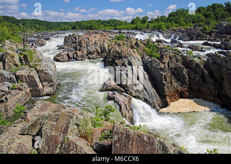 Great Falls auf dem Potomac River Stockfoto