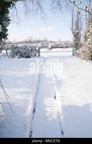 Mülltonne Spuren durch den Schnee. Stockfoto