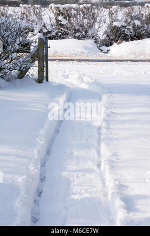 Mülltonne Spuren durch den Schnee. Stockfoto