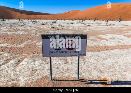 Zeichen und totes Kamel Dornen (Acacia Erioloba) vor der Sanddünen, Dead Vlei, Sossusvlei, Namib Wüste Stockfoto