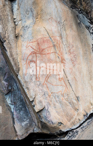 gobabis-felsmalereien-der-san-buschm-nner-ghoha-h-gel-oder-bushman