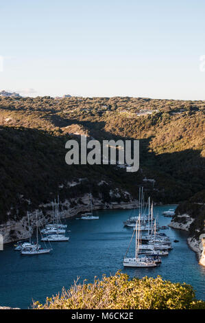 Korsika: Segelboote und Yachten im Hafen der Altstadt von Bonifacio, in der Bucht von Figari, einem ertrunken Schlucht ein Fjord - wie Aussehen gelegt Stockfoto