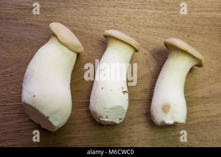 König Trompete Pilz (Pleurotus eryngii), alias Horn Pilz, König, König Braun Oyster mushroom Mushroom, auf hölzernen Hintergrund Stockfoto