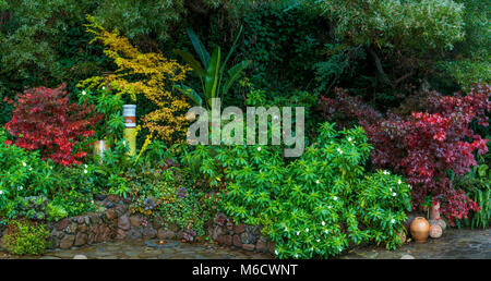 Garten Detail, Zypressen Garten, Mill Valley, Kalifornien Stockfoto