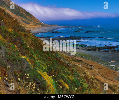 Punta Gorda Leuchtturm, König Range National Conservation Area, Humboldt County, Kalifornien Stockfoto