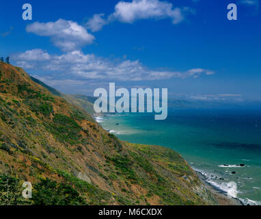 Sonoma Coast State Beach, Kalifornien Stockfoto