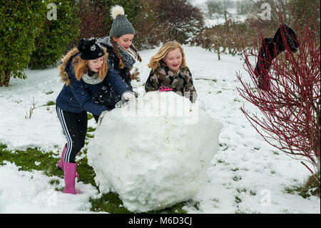 Ballydehob, Irland. 2 Mär, 2018. Sturm Emma ist immer noch mit Schnee zu West Cork obwohl Met Éireann ozeanografische Regen von Morgen. Diese jungen Mädchen waren die Schnee einen Schneemann bauen. Credit: Andy Gibson/Alamy Leben Nachrichten. Stockfoto