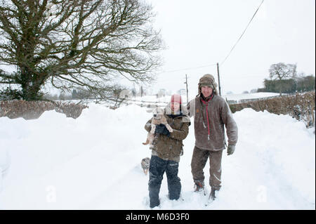 Herefordshire, UK. 2. März 2018. Die Straßen um das Dorf Little Cowarne in der Nähe von Bromyard in Herefordshire sind mit Schnee vom Sturm Emma blockiert, mit einigen Abweichungen bis etwa 6 ft. Abgebildet sind Becky Matthews, 43 und Matthäus Padden, 43, wandern Ihre älteren Grenze TerrierÕs Minnie und Jack durch die villge. Traktoren können durch die schneeverwehungen und das ganze Dorf ist von den wichtigsten Straßen Schnitt machen. Stockfoto