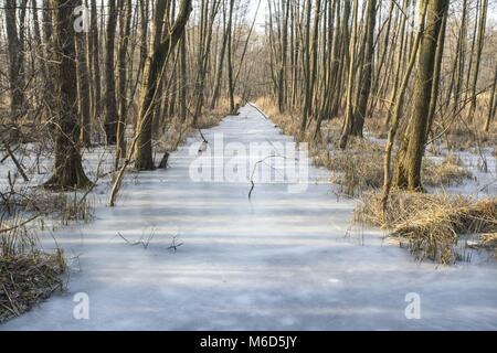 Posen, Großpolen, Polen. 2 Mär, 2018. Sonnig und frostigen Tag in Polen. Credit: Dawid Tatarkiewicz/ZUMA Draht/Alamy leben Nachrichten Stockfoto