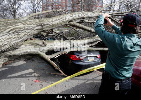 Washington, USA. 2 Mär, 2018. Ein Baum unten durch starke Winde Bausteine Teil Woodley Road NW, Washington, DC, USA, am 2. März 2018 gesprengt. Starker Wind, starker Regen, wogende Wellen und sporadische Schnee Chaos in den USA Ostküste sind Unheil am Freitag, bereits verlassen Tausende Flüge annulliert, klopfte in Teil von Washington, DC und über 22 Millionen Bewohner unter einer Hochwasserwarnung. Credit: Li Muzi/Xinhua/Alamy leben Nachrichten Stockfoto