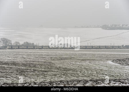 Der C2C-Eisenbahnzug führt durch den schneebedeckten Hadleigh Country Park und die Felder der Hadleigh Marshes an nebelhaltigen Wintertagen während des Ostwetterphänomens. Essex ländlich Stockfoto