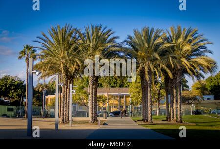 LACMA: Los Angeles County Museum der Kunst Stockfoto