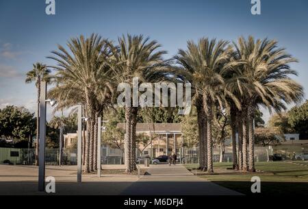 LACMA: Los Angeles County Museum der Kunst Stockfoto