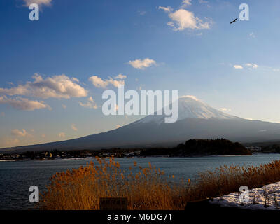 Ansicht von Herrn Fuji von Kawaguchi See an einem sonnigen Wintertag, Yamanashi, Japan Stockfoto