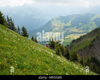 Schweizer Berge Landschaft rund um Stanserhorn Stockfoto