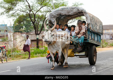 Kinder auf ihrem Weg von der Schule nach Hause in einem Dorf in der Nähe von Athoor Tamil Nadu Tamil Nadu, Indien. Stockfoto