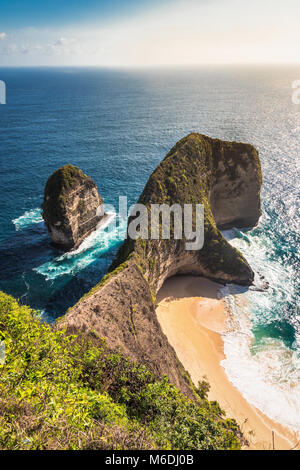Den berühmten Dinosaurier Replik in den Felsen des Kelingking in Nusa Penida Stockfoto