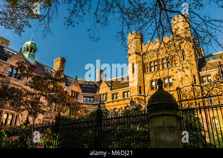 Vanderbuilt Yale University, New Haven, Connecticut, USA Stockfoto