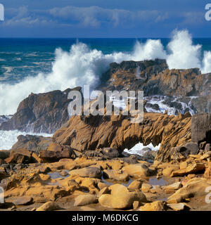 Surf, Arch Rock, Salt Point State Park, Sonoma County, Kalifornien Stockfoto