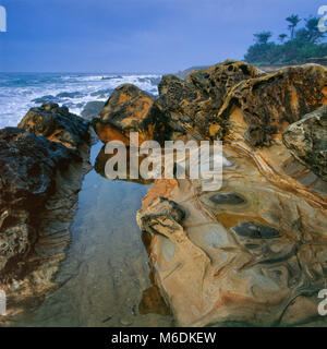 Sandstein, Del Mar Punkt ökologische Bewahren, Sea Ranch, Sonoma County, Kalifornien Stockfoto