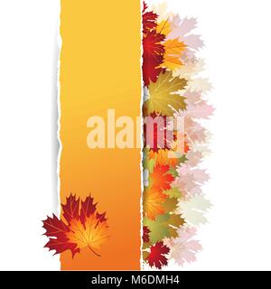 EPS 10 Herbst Ahorn Hintergrund bleibt. Vector Illustration Stock Vektor