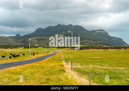 Straße zum Mount Strzelecki auf Flinders Island, Tasmanien Stockfoto