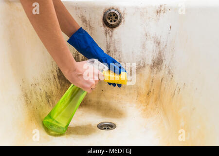 Hände in blau Gummi Arbeiter hand Handschuhe halten Schwamm und Sprühen mit Reinigungsmittel reinigen Badewanne in Pilz, Schmutz und Schimmel Stockfoto