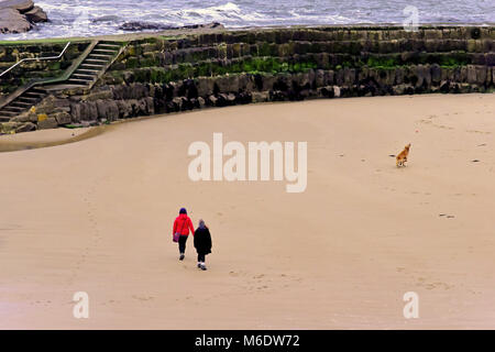 Winter Strand Spaziergänger von Pier mit Hund fangen Ball Stockfoto