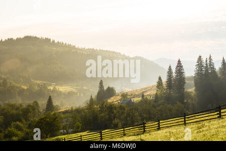Ländliche Landschaft mit reichhaltigen bunten Sommer oder Herbst die Natur in den frühen Morgenstunden Stockfoto