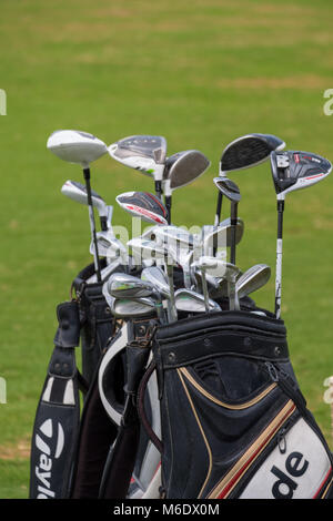 Satz Golfschläger/Golf Eisen bei Golf Bag Stockfoto
