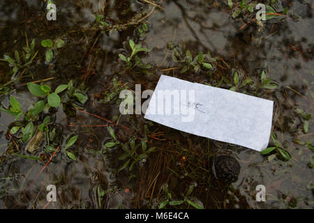 Nass nass wird. Stockfoto